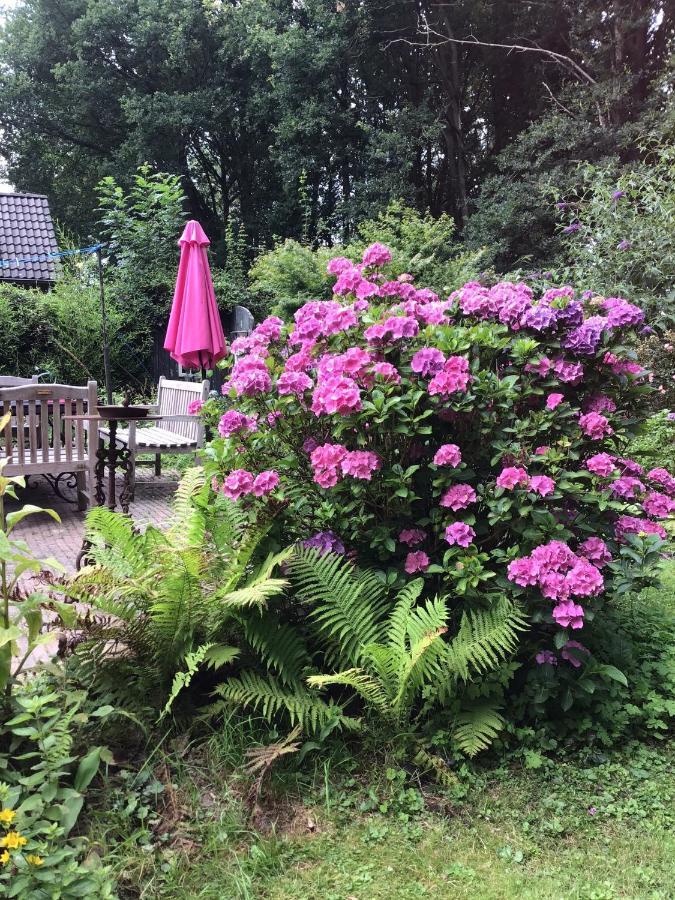 Blauwe Lelie Villa Ewijk Luaran gambar